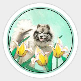 Keeshond in Tulips Sticker